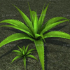 植物CG模型